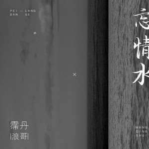 忘情水-霈丹(浪哥)