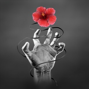 Andy Anderson - It's So Good To See You Again