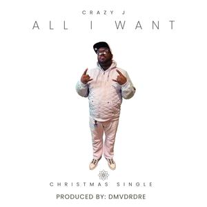 ALL I WANT (Explicit)