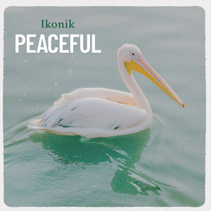 Peaceful (Radio Edit)