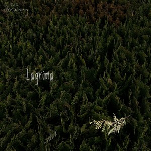 Lagrima l 泪