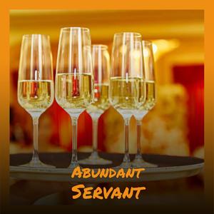 Abundant Servant