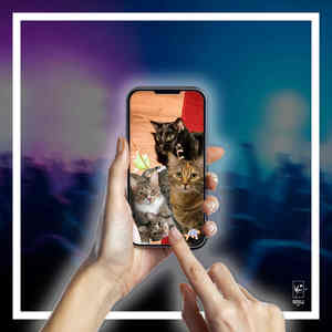 lemmetellyaboutmycat