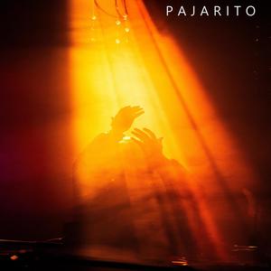 Pajarito (vivo en Usina Cultural)