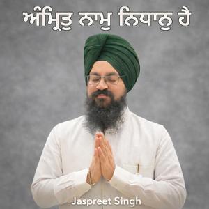 Amrit Naam Nidhaan Hai