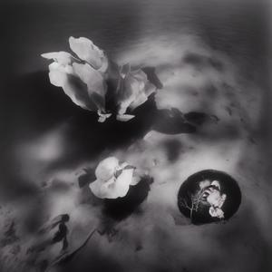 At Night Everybody Needs to Sleep