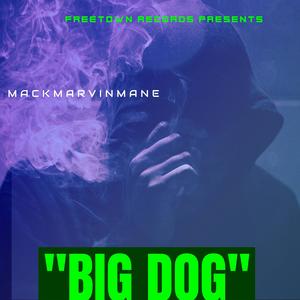 BIG DOG (Explicit)