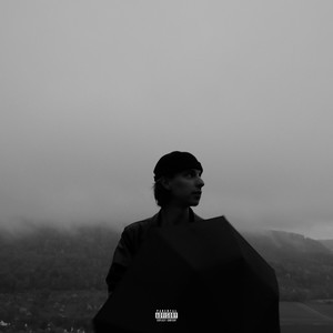 Regen fällt (Zonus Remix|Explicit)