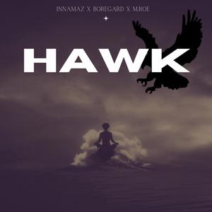 Hawk (feat. Boregard. & M.Roe) [Explicit]