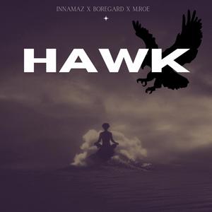 Hawk (feat. Boregard. & M.Roe) (Explicit)