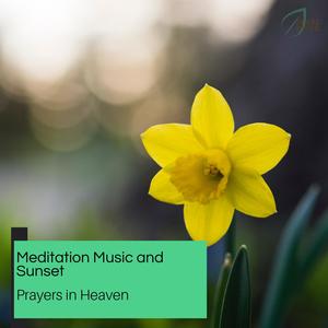 Soul Detoxifying Spa (Original Mix)