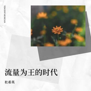 抄袭之倒反天罡 (伴奏)