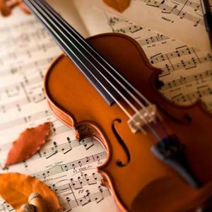 莫扎特-g大调第三小提琴协奏曲(小提琴版)