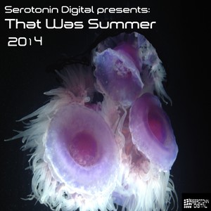 Serotonin Digital Presents: That Was Summer 2014