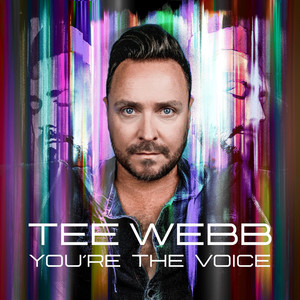 You're the Voice (SAKGRA Extended Remix)