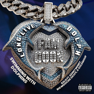 Swimming with Dolphins (feat. Kenny Muney, Big Moochie Grape and Goldmouf) (Explicit)