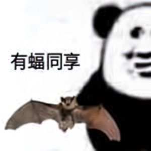 时光不老我们不散