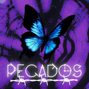 PECADOS