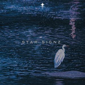 Star Signz (feat. Rub!xmusic) (Explicit)