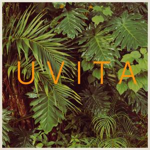 Uvita