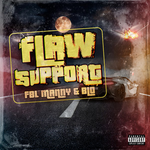 FLAW SUPPORT (Explicit)