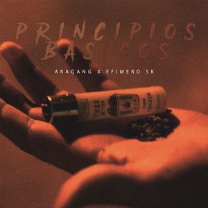 Principios Basicos