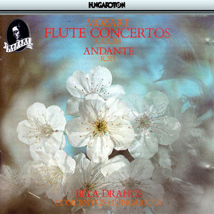 Andante in C Major, K. 315 - Andante in C Major, K. 315 (C大调长笛和管弦乐团,作品315)