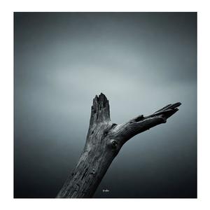 Cross Country (Explicit)