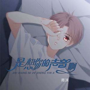 是想你的声音啊 (治愈版) - 雨沫封面