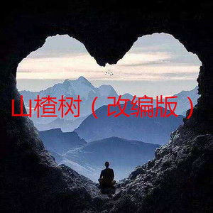 一生啊 (改编版)