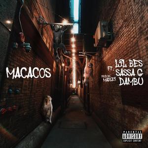 MACACOS (feat. Sassa G & Dambú) [Explicit]