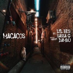 MACACOS (feat. Sassa G & Dambú) (Explicit)