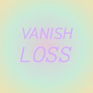 Vanish Loss