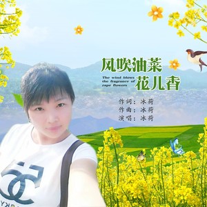 风吹油菜花儿香