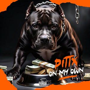 ON MY OWN (Explicit)