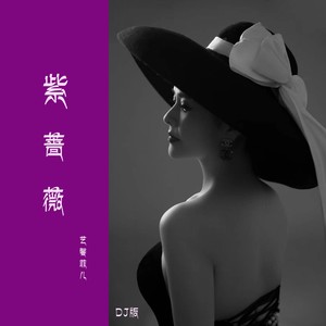 紫蔷薇 (DJ沈念版伴奏)