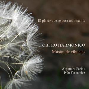 Petite Camusette de Adriano