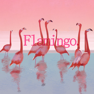 全站最骚的flamingo