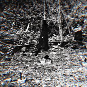 Offer Til Jordens Gudinne