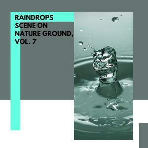 Raindrops Scene on Nature Ground, Vol. 7