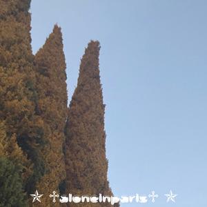 I know(feat. digital)