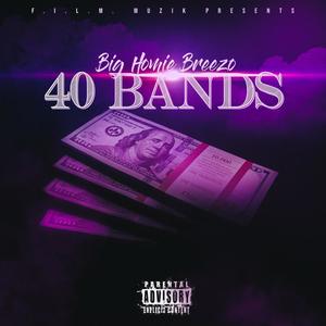 40 Bands (Explicit)