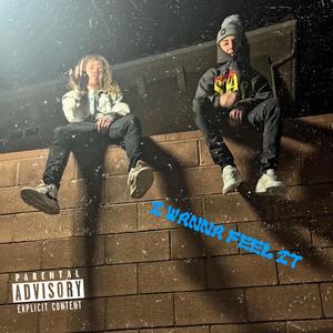 I Wanna Feel It (feat. Juddy Boy) (Explicit)