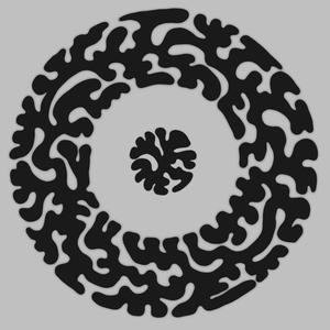 ver o sol nascer e fazer de conta que está tudo bem