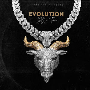 Evolution (Explicit)