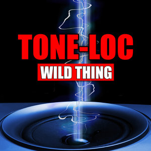 Wild Thing (Re-Recorded Remastered)