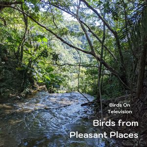 Birds from Pleasant Places