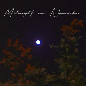 Midnight in November