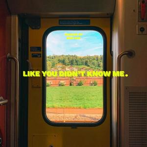 LIKE YOU DIDN'T KNOW ME (Explicit)