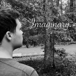 Imaginary